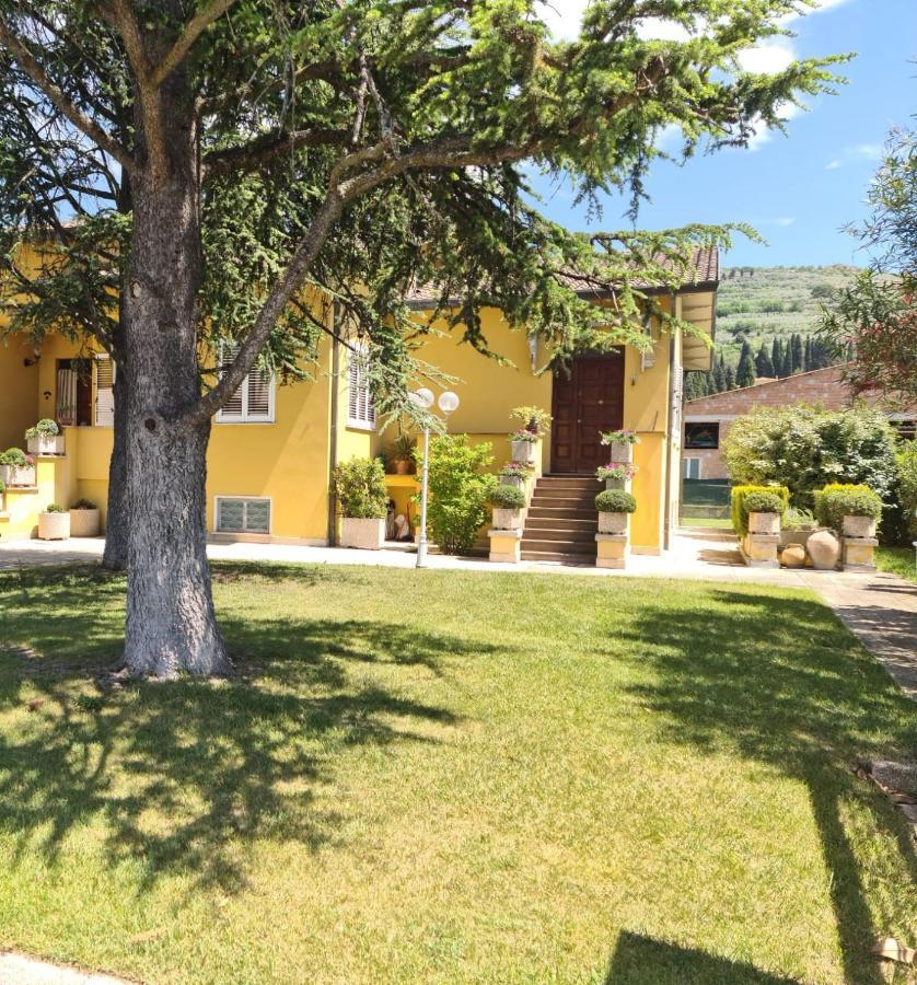 La Finestra Su Spello Daire Dış mekan fotoğraf